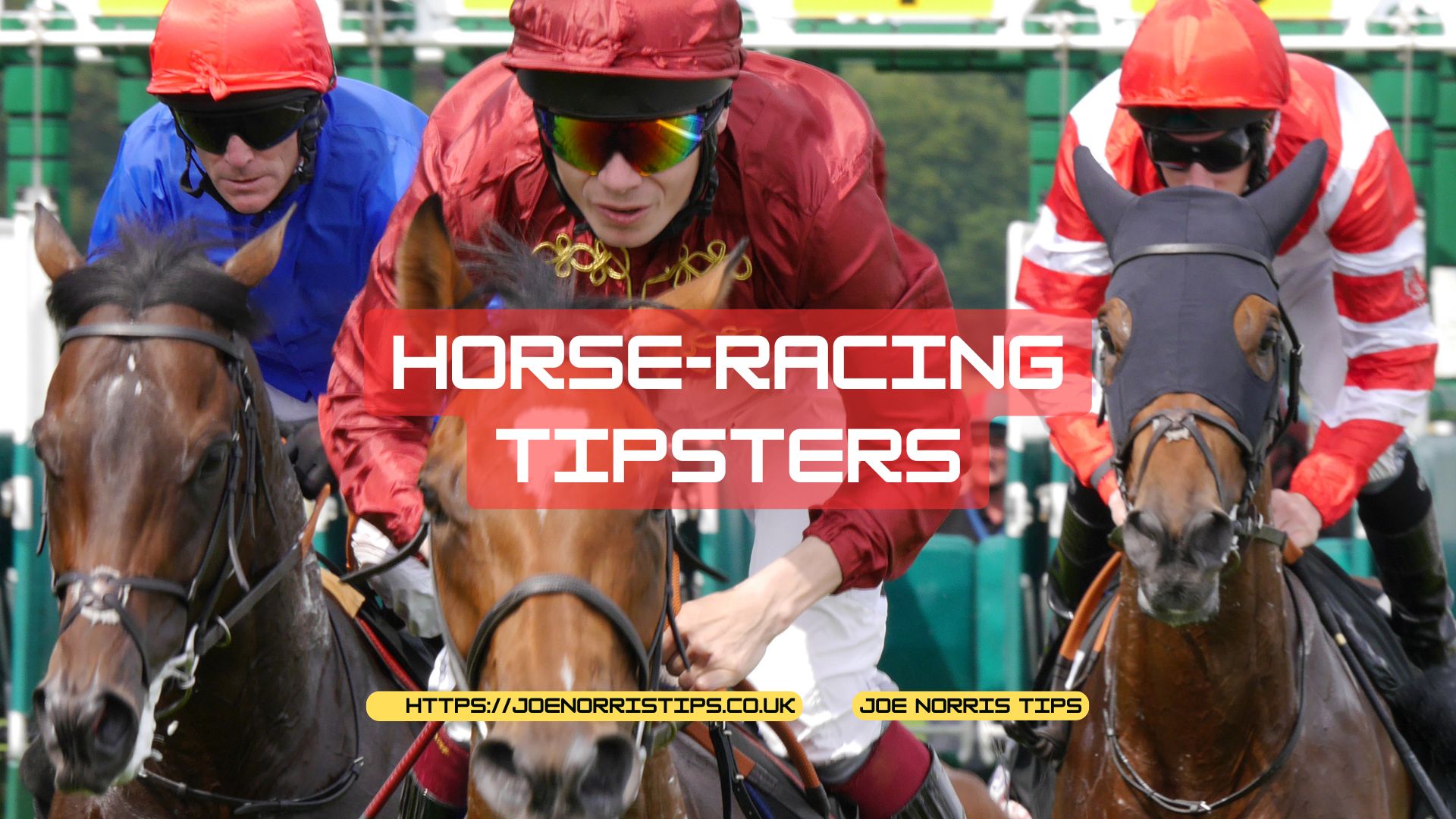 Horse-Racing Tipsters
