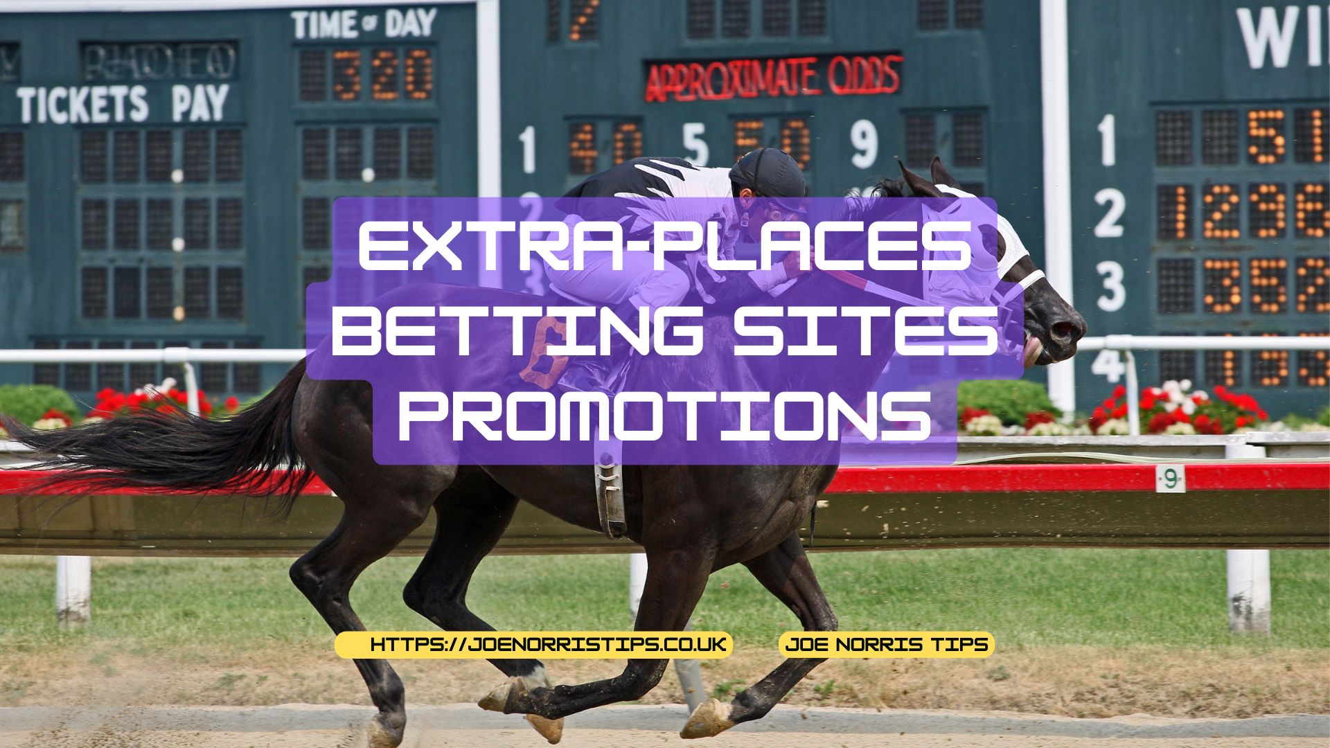 Extra-Places Betting Site Promotions