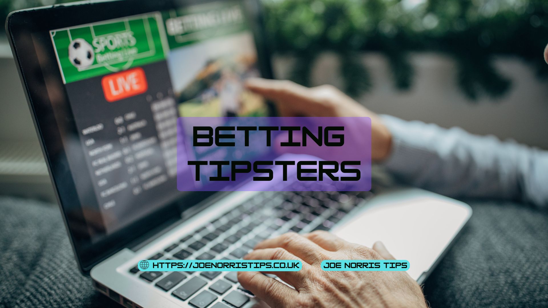 Betting Tipsters graphic with user placing live sports bets on laptop – Joe Norris TipsBetting Tipsters graphic with user placing live sports bets on laptop – Joe Norris Tips.